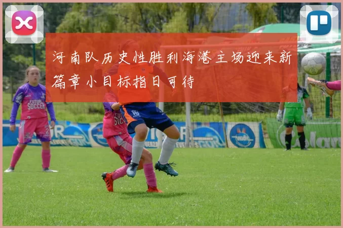 河南队历史性胜利海港主场迎来新篇章小目标指日可待